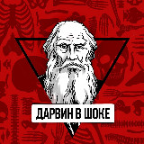 Аватарка канала Дарвин в шоке